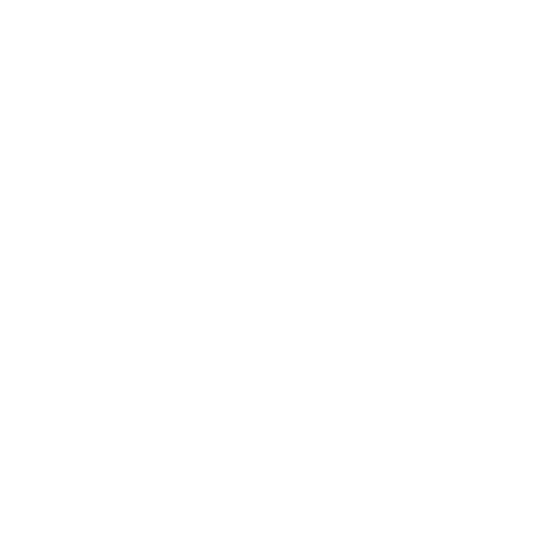 Petriya's Bottle